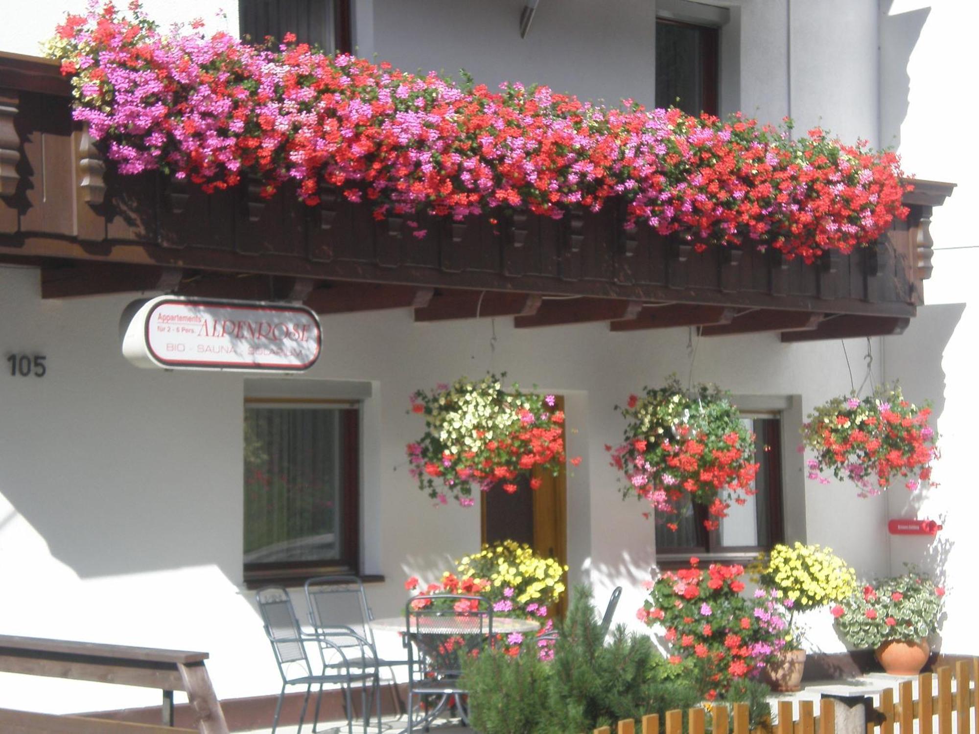 Alpenrose * Flirsch