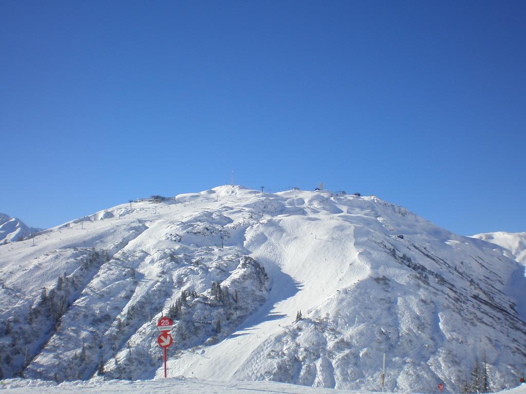 Apartment Alpenrose